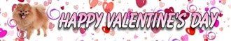 pomeranian-valentines-day-banner